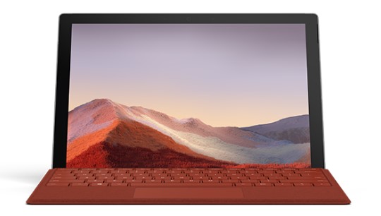 香格里拉清洁和维护 Surface